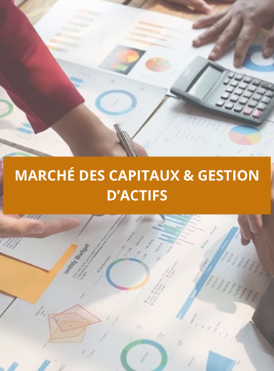 marché des capitaux et gestion d'actifs